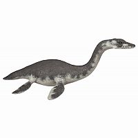 Plesiosaurus