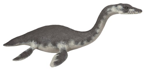 a plesiosaurus