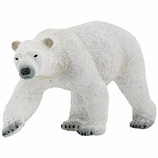 Polar Bear