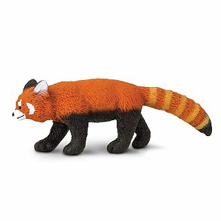 Red Panda