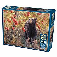 Den Dreams 500 Piece Puzzle