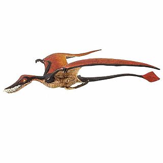 Rhamphorhynchus