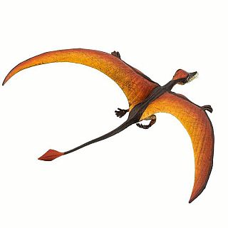 Rhamphorhynchus