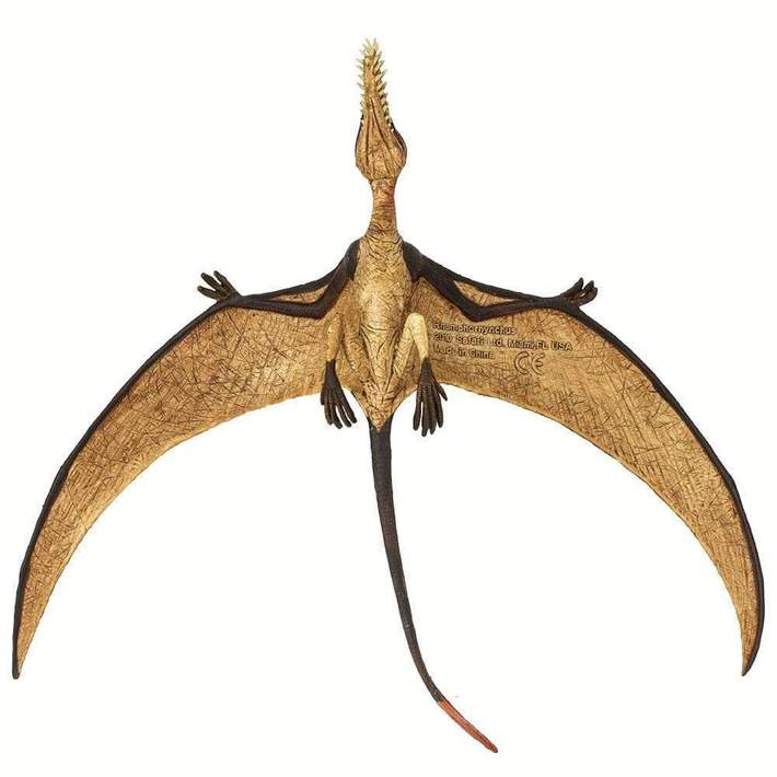rhamphorhynchus toy