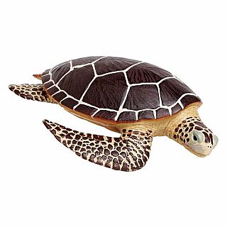 Sea Turtle 