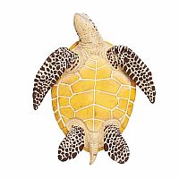 Sea Turtle 