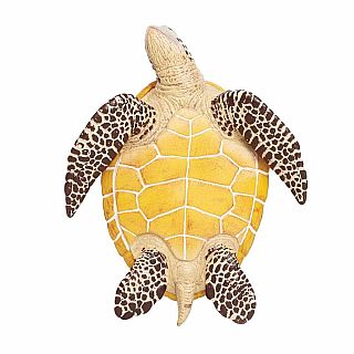 Sea Turtle 