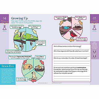 Summer Brain Quest: Between Grades 2 & 3 Paperback