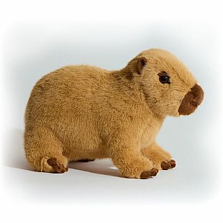 Chattie Soft Capybara