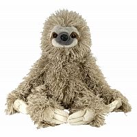 Three Toed Sloth 12