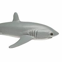 Thresher Shark