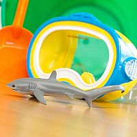 Thresher Shark