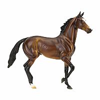 Tiz the Law Horse 