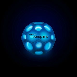 Moonshine 2.0
