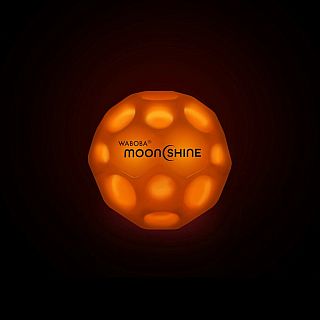 Moonshine 2.0