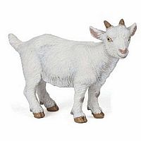 White Kid Goat