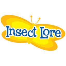 Insect Lore